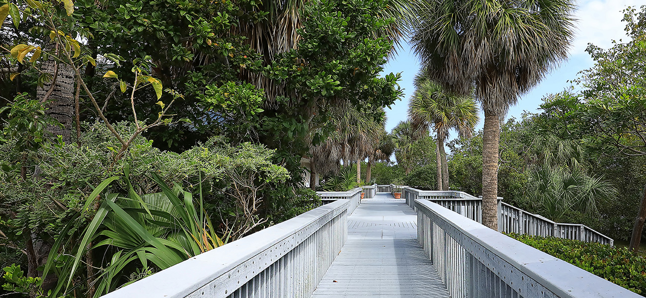 outdoor pathway at the Anne Kolb Nature Center.