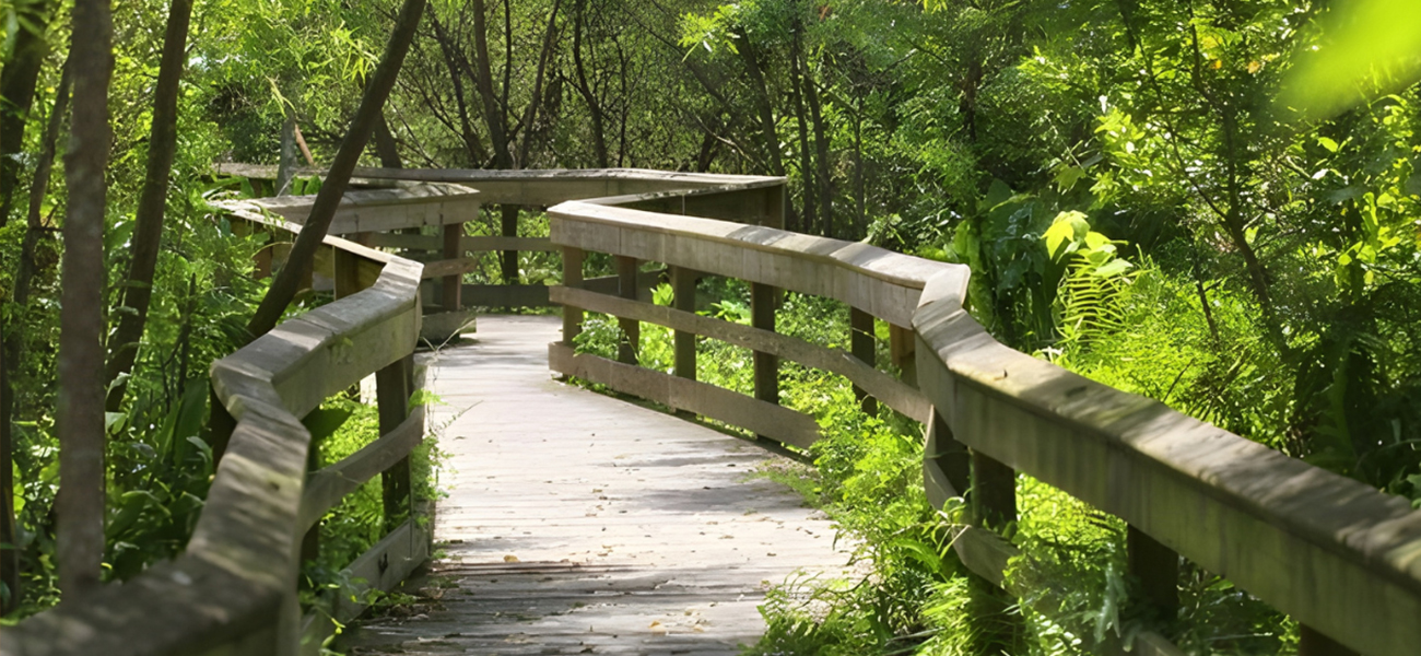 Wooden pathway winds through the lush Mead Botanical Garden
