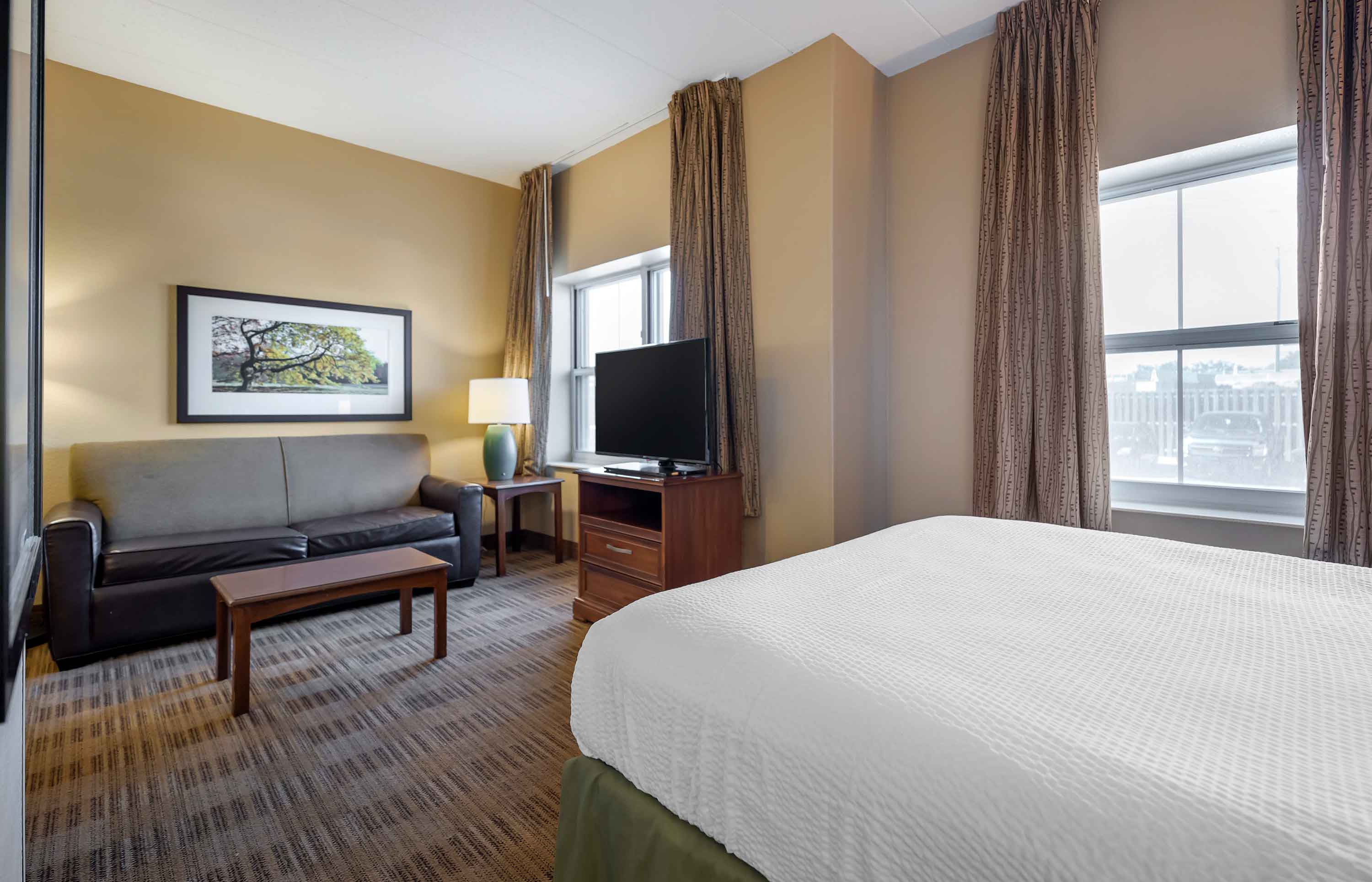 Deluxe Studio - 1 King Bed