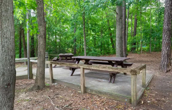 Picnic Area