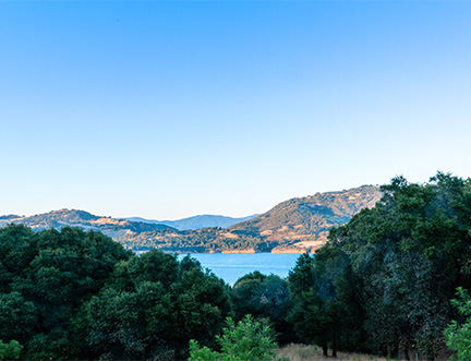 Image of trees and a lake in Ukiah, CA