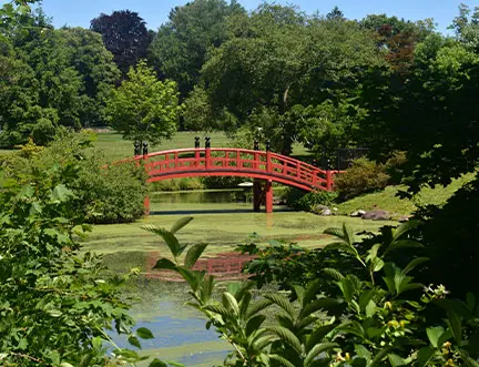 image of a bridge in Somerset, NJ