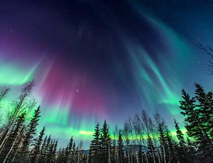 northern lights in Fairbanks, AK