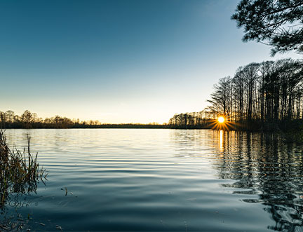 Lake in Chesapeake, VA