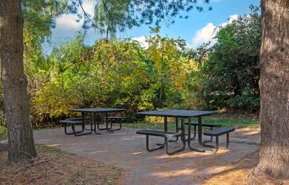 Picnic Area