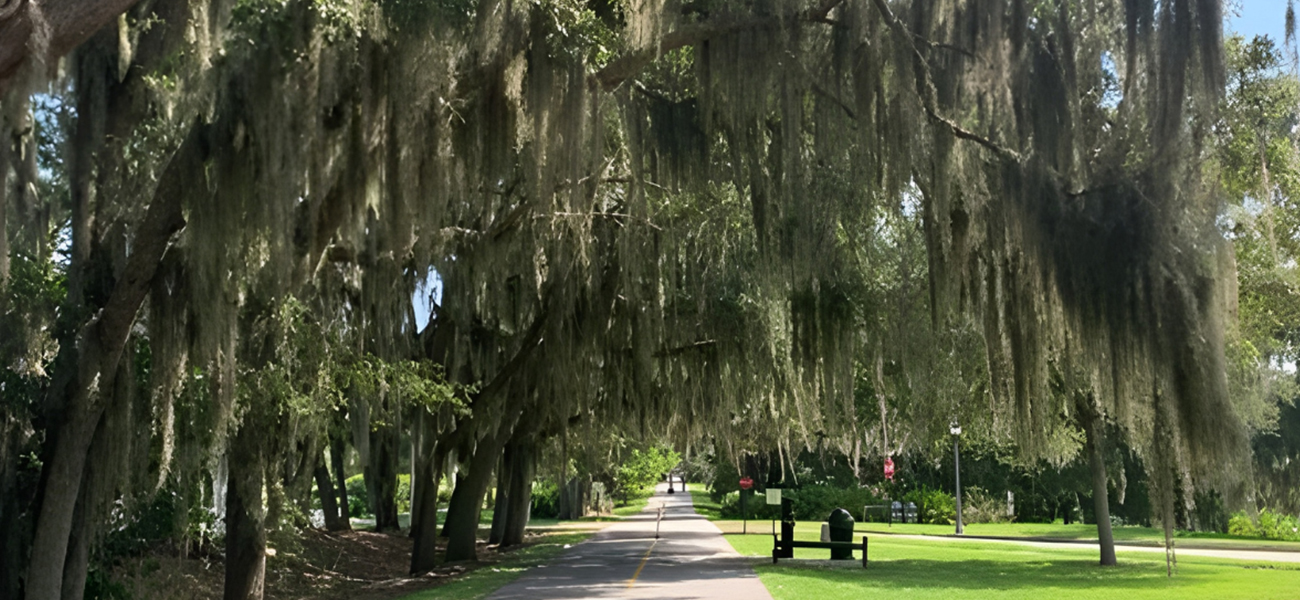 Large trees shade a section of the West Orange Trail 