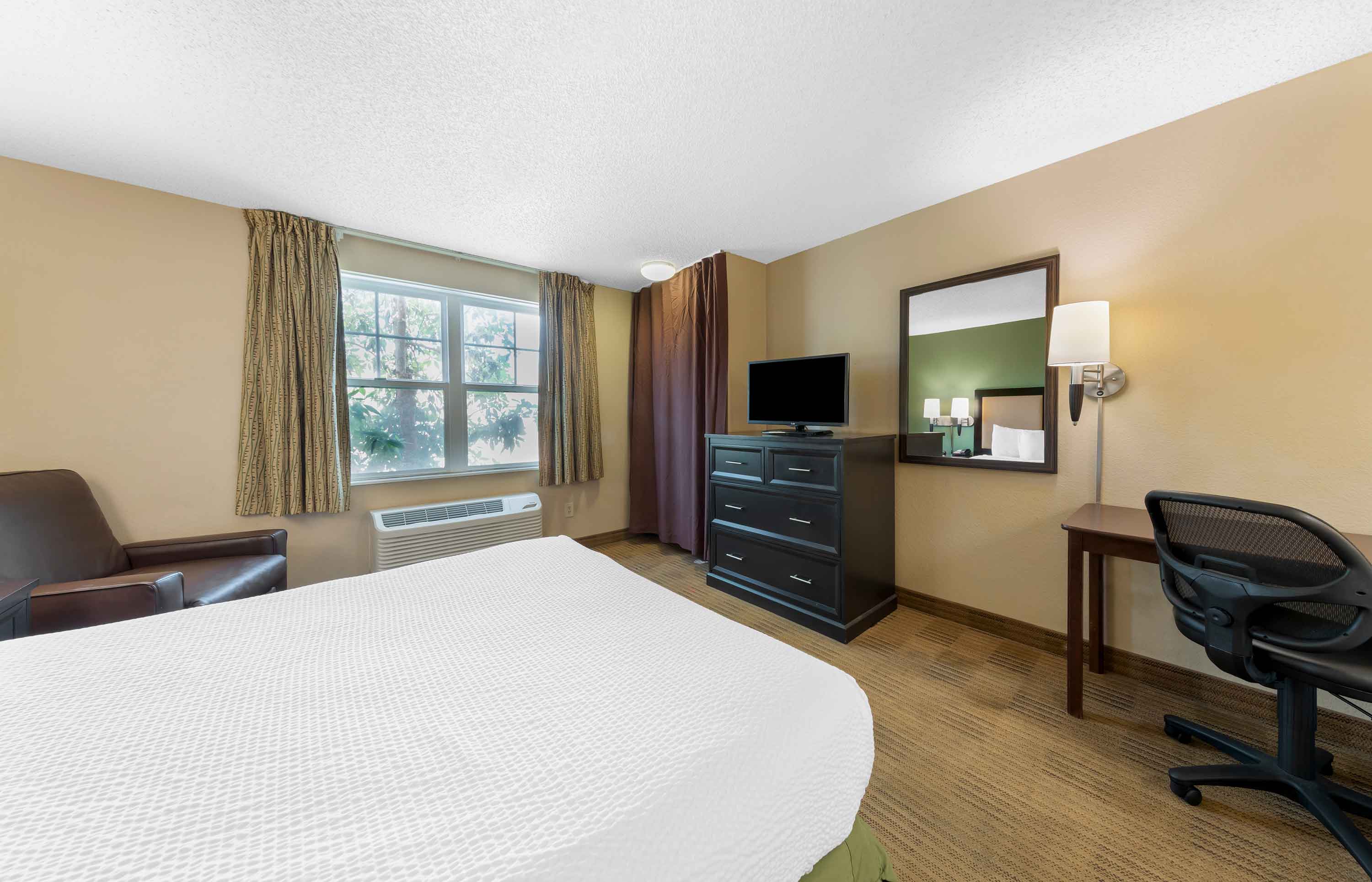 Studio Suite - 1 Queen Bed