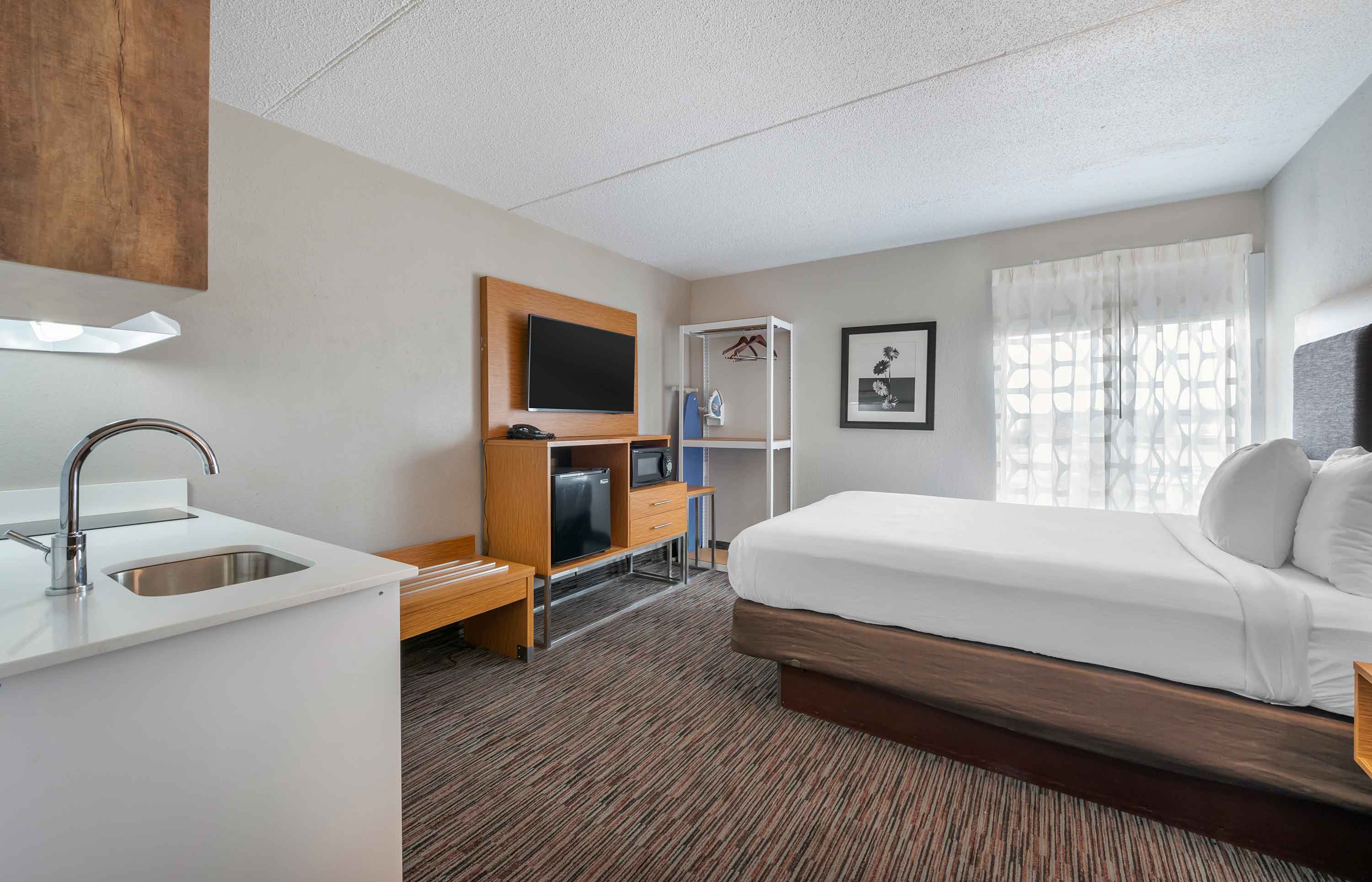 Studio Suite - 1 Queen Bed