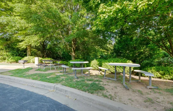 Picnic Area