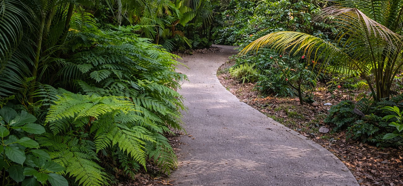 Walkway in Orlando&rsquo;s Leu Gardens.