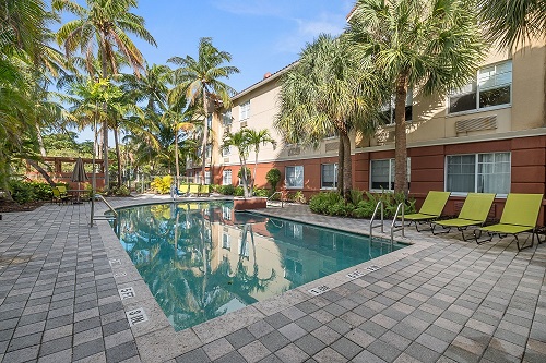 Outdoor swimming pool with palm trees