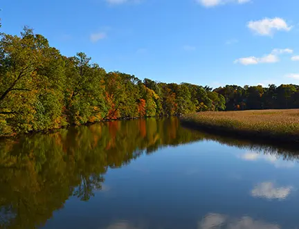 image of a lake in Red Bank, NJ